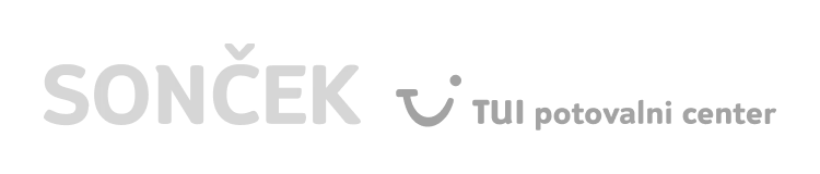 Soncek Agency Logo